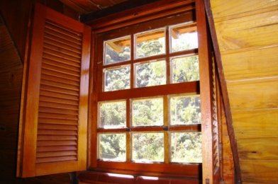 Vista para a floresta