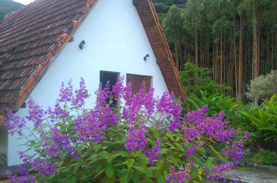 Chalé para família 