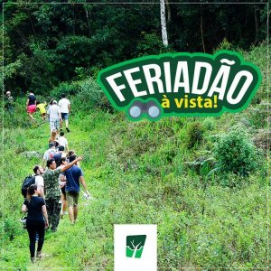 FERIADÃO À VISTA